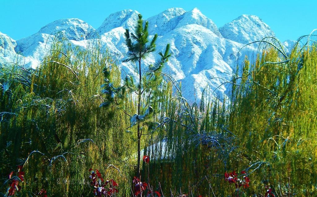 Cabana Suiza カチェウタ エクステリア 写真